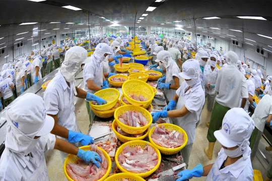 Luật Thuế giá trị gia tăng vừa thi hành đã phát sinh 'điểm nghẽn'