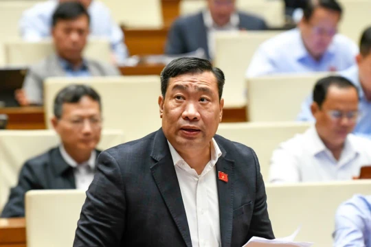 Đại biểu Quốc hội 'hiến kế' huy động nguồn lực ngoại tệ và vàng trong dân