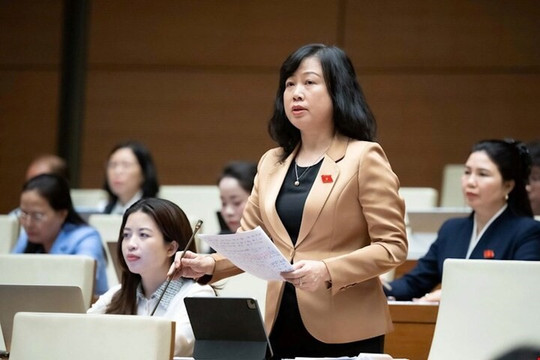 Bộ trưởng Đào Hồng Lan đề xuất xem hành vi hành hung nhân viên y tế là chống người thi hành công vụ