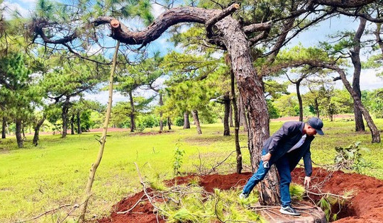 Gia Lai chỉ đạo nóng về dự án 2.800 tỷ của Tập đoàn FLC