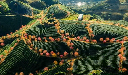 Liên danh Ecopark sẽ làm khu đô thị sinh thái gần 2.500 tỷ tại Lào Cai