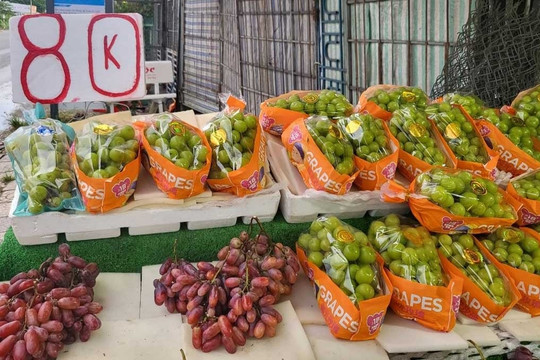 'Nho Mỹ 79.000 đồng/kg': Cơn lốc trái cây ngoại giá rẻ đang cuốn người tiêu dùng vào mê trận