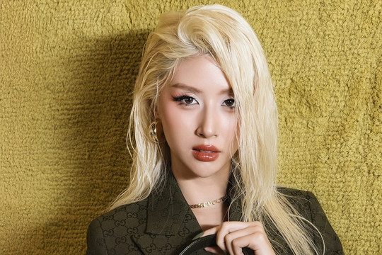 Quỳnh Anh Shyn gây tranh cãi vì lời xin lỗi