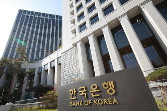 Nghịch lý AI: Người già được việc, người trẻ mất chỗ