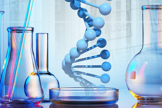 Tập đoàn hương liệu 175 tuổi cam kết hỗ trợ Vinachem tham gia vào chuỗi cung ứng toàn cầu