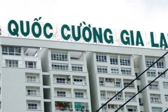 Bất ngờ với hệ sinh thái phía sau bà Lại Thị Hoàng Yến, người vừa cho Quốc Cường Gia Lai (QCG) vay 500 tỷ