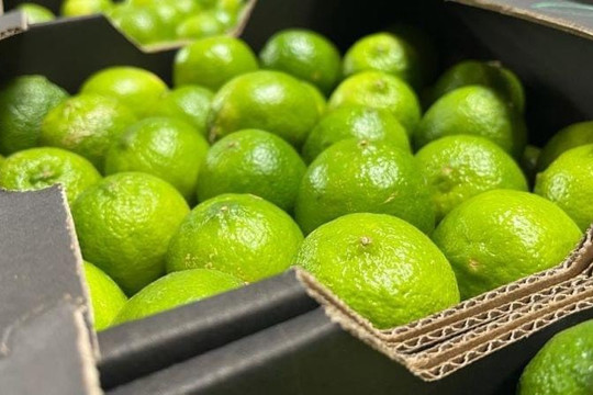 Loại quả bán đầy ở chợ Việt Nam giá cực rẻ: Sang trời Tây thành hàng hot, được các 'đại gia dầu mỏ' tranh mua như đặc sản