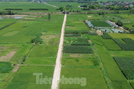 Lo khó GPMB vì giá đất nông nghiệp dự kiến cao nhất 290.000 đồng/m2