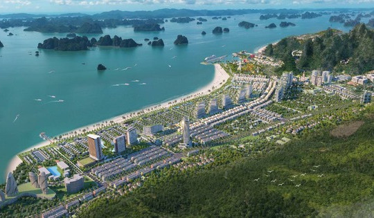 Doanh thu bất động sản chững lại, CEO Group vẫn tăng lãi nhờ tối ưu chi phí