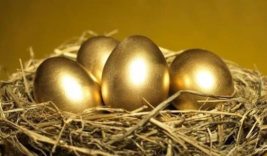 Lợi nhuận quý cao kỷ lục, ‘gà đẻ trứng vàng’ của Vietnam Airlines (HVN) chốt trả cổ tức tỷ lệ 80% bằng tiền