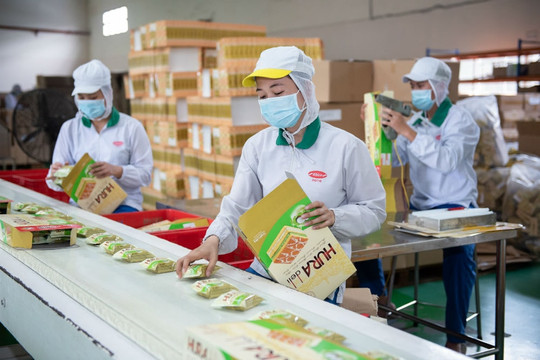 PAN Group lập công ty tài chính 1.600 tỷ, dùng toàn bộ 18,4 triệu cổ phiếu Bibica để góp vốn