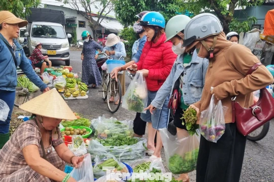 'Mấy hôm nay mua rau đắt hơn cá thịt'
