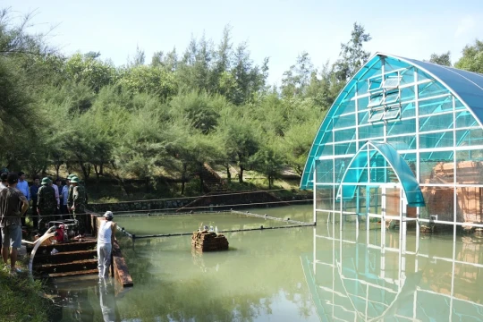 Tháp Chăm nghìn năm tuổi tại Huế ngâm nước nhiều ngày: Xử lí thế nào?