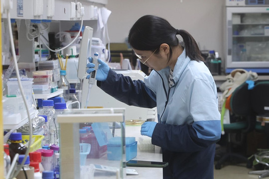 76 nhà khoa học dưới 60 tuổi qua đời, người trẻ nhất mới tròn 33