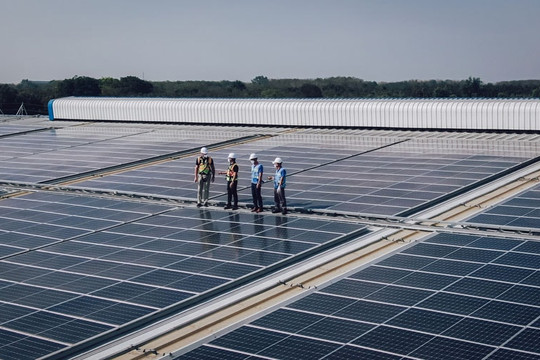 Vừa báo lãi lớn, Cơ Điện Lạnh (REE) tăng mạnh vốn công ty năng lượng lên 10.500 tỷ