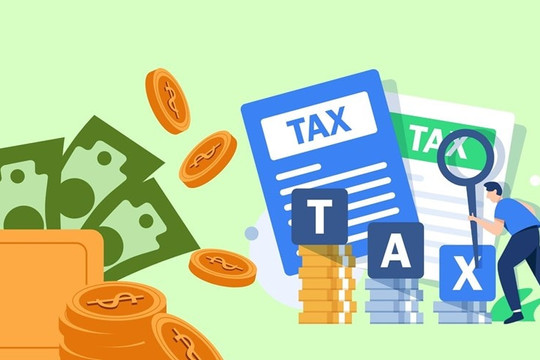 Cục Thuế cảnh báo hộ kinh doanh thiếu hóa đơn đầu vào có thể bị xử phạt và nghi trốn thuế