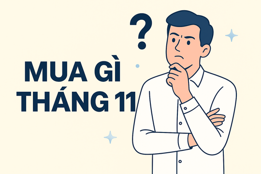 Agriseco Research chọn ra 6 cổ phiếu tiềm năng trong tháng 11, cơ hội lãi 12 - 18%