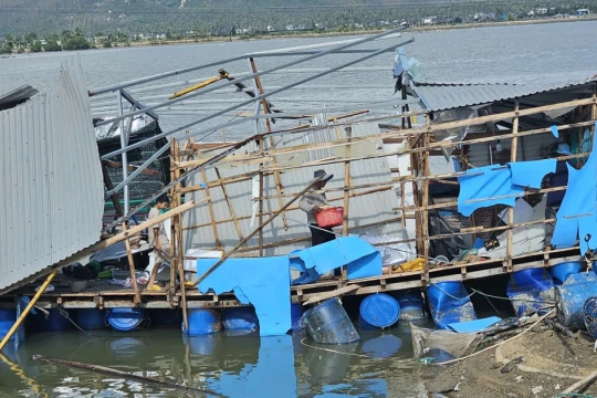 Bão số 13 'thổi bay' hơn 172 tỷ đồng của người dân thủ phủ tôm hùm