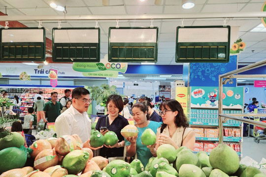 ĐBQH Phạm Văn Hòa: Mới nghe tin tăng lương, giá ngoài chợ đã tăng 10%, gọi là bình ổn sao được?