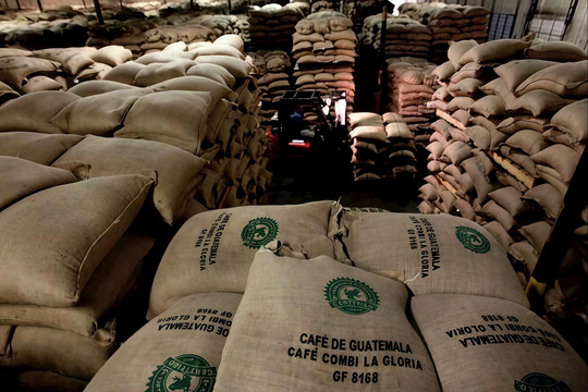 Từ nhà xuất khẩu top 8 thế giới, Mexico phải chi gần 200 triệu USD mua hàng chục nghìn tấn sản phẩm Việt để tiêu dùng nội địa