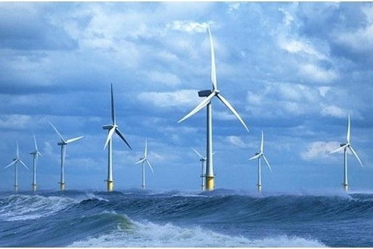 Một doanh nghiệp trên HoSE được cấp quyền khảo sát hơn 7.000ha biển cho siêu dự án điện gió ngoài khơi