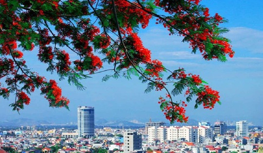 Hải Phòng chuẩn bị áp dụng bảng giá đất mới, mức cao nhất dự kiến lên tới 160 triệu đồng/m2