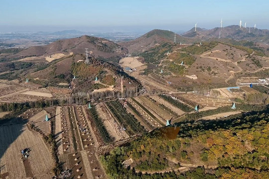 Khoan sâu 219 mũi, phân tích 100.000 mẫu thử, phát hiện mỏ vàng 1.500 tấn nằm la liệt bên dưới một ngôi làng