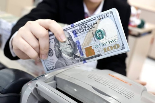 Tỷ giá USD hôm nay 13/11: Giá mua tăng nhẹ, chợ đen vọt lên gần 27.950 đồng