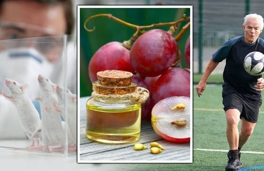 Startup Trung Quốc chế tạo được sản phẩm mà Tần Thủy Hoàng dành cả đời theo đuổi