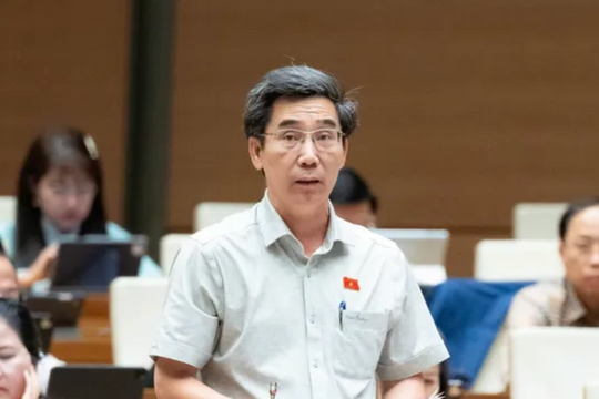 ĐBQH: Luật Thương mại điện tử cần bảo vệ các sàn của Việt Nam