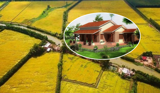 Kể từ nay, phải đáp ứng điều kiện này mới được chuyển đất trồng lúa sang đất ở nông thôn