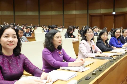 Chi tiết hướng dẫn về công tác nhân sự đại biểu Quốc hội và HĐND khóa mới