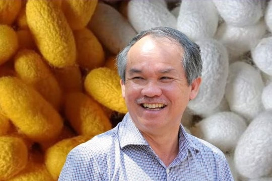 Bầu Đức tất tay cho 2.000ha dâu tằm: Canh bạc 'một vốn mấy lời', hứa hẹn trở thành nguồn thu chủ lực của HAGL