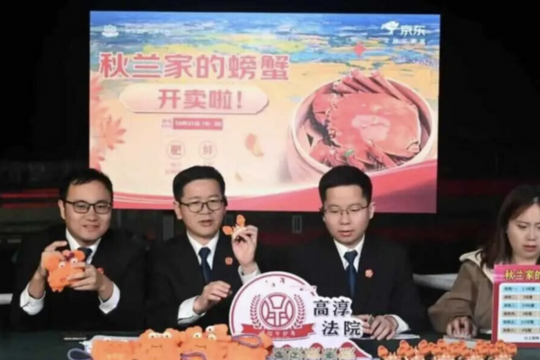 3 thẩm phán livestream ‘bán cua’ tại tòa