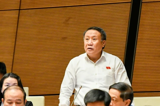 Đại biểu Quốc hội kiến nghị 'không quá cứng nhắc' quy định thiết bị an toàn cho trẻ em trên ô tô