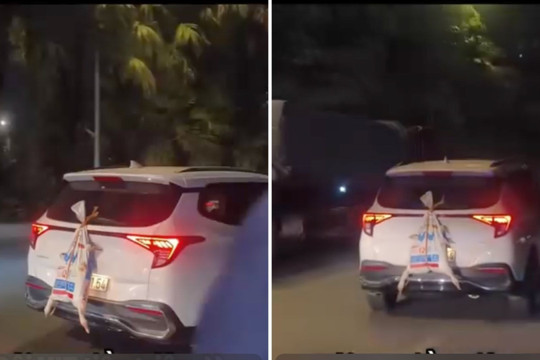 'Đôi vịt tiền triệu' trên đường