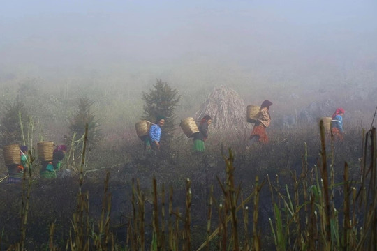 Việt Nam có 'ngôi làng địa ngục' nằm ở độ cao 2.000m: Biệt lập với thế giới, người dân sống ‘3 không’ suốt nhiều năm