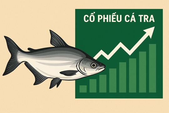 Cổ phiếu cá tra ANV, VHC, IDI tăng vọt sau tin vui từ thị trường xuất khẩu
