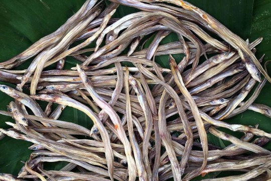 Loài cá nhỏ 'như chiếc đũa tre' ở miền Tây: Xưa rẻ bèo, nay phơi khô bán 200.000 đồng/kg, ăn một lần là nhớ cả đời