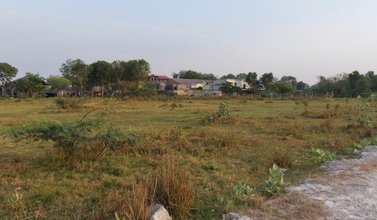 Người đàn ông mua đất trồng cây bị cả xóm cười chê, một năm sau nhận về số tiền bạc tỷ