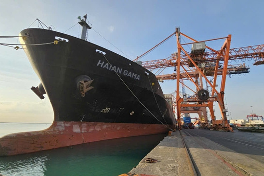 Công ty sở hữu đội tàu container lớn nhất Việt Nam tăng kế hoạch lợi nhuận năm, cổ phiếu phá đỉnh lịch sử