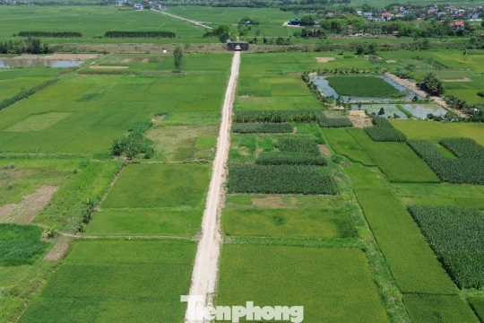 Hà Nội: Cử tri kiến nghị điều chỉnh 'nới' quy định về tách thửa