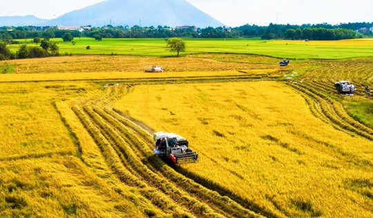 NÓNG: Đề xuất thêm 3 trường hợp Nhà nước thu hồi đất