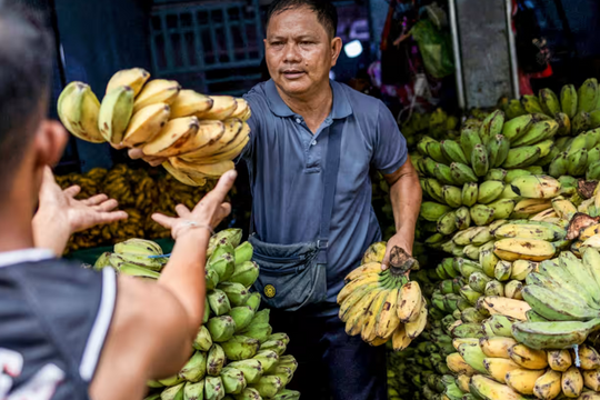 Động thái bất ngờ từ ông Trump mang về ‘chiến thắng’ tỷ đô cho nông dân Philippines