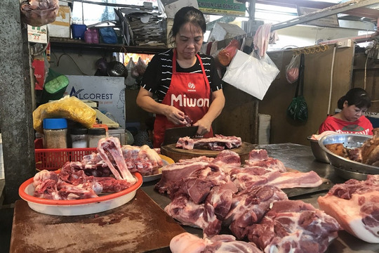 Nông dân nuôi lợn kiệt quệ vì lỗ nặng, vì sao giá thịt lợn vẫn ‘trơ trơ’ trên 150.000 đồng/kg?