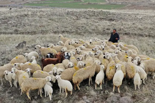 Nghề ‘hái ra tiền’ nhưng cực khát nhân lực, tháng trả trăm triệu đồng mà không cần bằng cấp cao