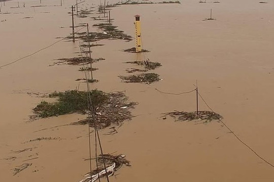 Gia Lai di dời khẩn cấp 1.000 hộ dân