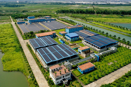 Vụ Tập đoàn Thái Lan kiện công ty liên quan Shark Liên: Tòa án ra quyết định bất ngờ