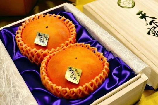 Ngỡ ngàng cặp hồng được bán với giá kỷ lục 187 triệu đồng