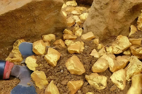 Phong tỏa khẩn cấp 150 tấn vàng, trị giá hơn 120.000 tỷ trong vườn của một người nông dân